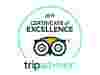 TripAdvisor Award